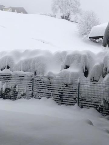 Haus Hubertus Wintersaison Und Sommersaison Acomodação com café da manhã Jerzens Exterior foto